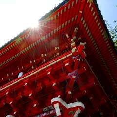 投稿日:2025年2月6日 写真