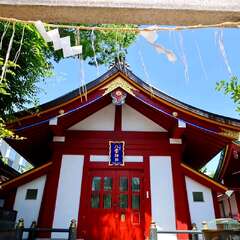 投稿日:2025年2月6日 写真