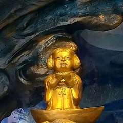 投稿日:2023年6月17日 写真