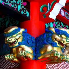 投稿日:2025年2月6日 写真