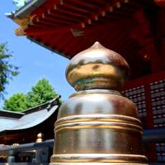 投稿日:2025年2月6日 写真