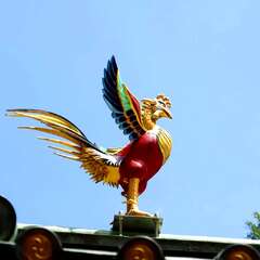 投稿日:2025年2月6日 写真