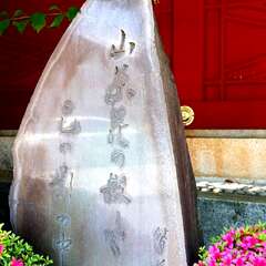 投稿日:2025年2月6日 写真