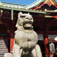 投稿日:2019年3月2日 写真