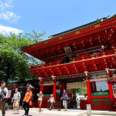 投稿日:2025年2月6日 写真