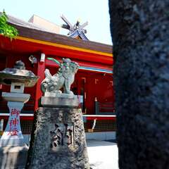 投稿日:2025年2月6日 写真