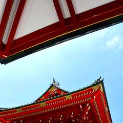 投稿日:2025年2月6日 写真