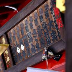 投稿日:2025年2月6日 写真