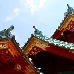 投稿日:2025年2月6日 写真