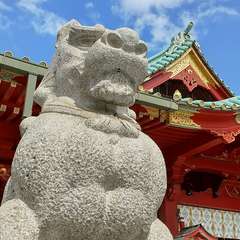 投稿日:2024年10月5日 写真