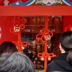 投稿日:2019年3月11日 写真