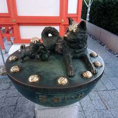 投稿日:2020年1月9日 写真