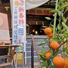 投稿日:2021年12月30日 写真