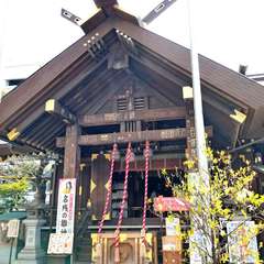 投稿日:2020年3月17日 写真