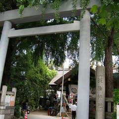 投稿日:2024年6月3日 写真