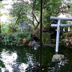 投稿日:2021年4月27日 写真