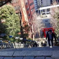 投稿日:2019年2月24日 写真