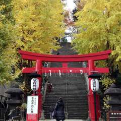 投稿日:2019年12月21日 写真