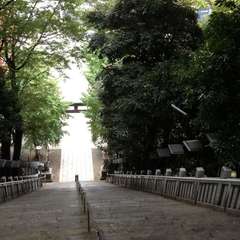 投稿日:2016年1月1日 写真