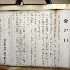 投稿日:2016年1月1日 写真