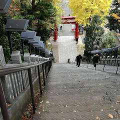 投稿日:2019年12月21日 写真