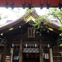 投稿日:2016年10月26日 写真