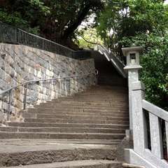 投稿日:2016年1月1日 写真