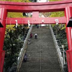 投稿日:2019年12月21日 写真