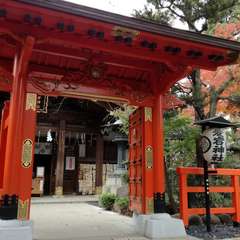 投稿日:2019年12月21日 写真