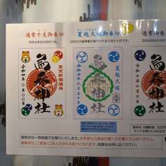 投稿日:2022年6月6日 写真