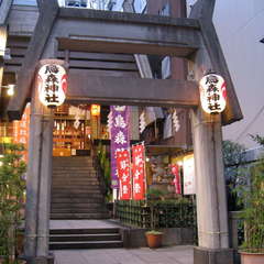 投稿日:2024年2月4日 写真