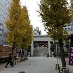 投稿日:2019年12月21日 写真