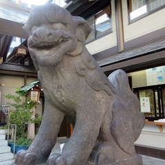 投稿日:2021年6月17日 写真