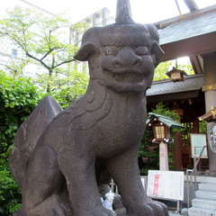 投稿日:2021年6月17日 写真