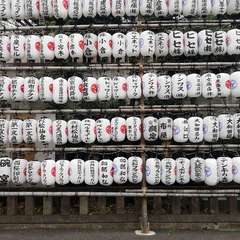 投稿日:2021年12月31日 写真