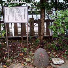 投稿日:2020年10月11日 写真