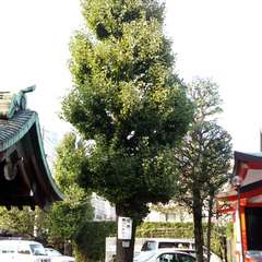 投稿日:2015年10月4日 写真