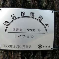 投稿日:2015年10月4日 写真