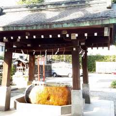 投稿日:2015年10月4日 写真