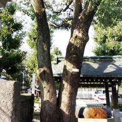 投稿日:2015年10月4日 写真