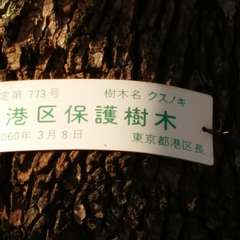 投稿日:2015年10月4日 写真