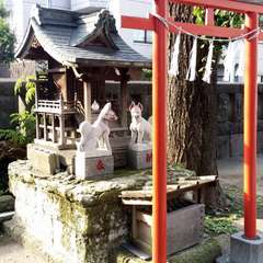 投稿日:2015年10月4日 写真