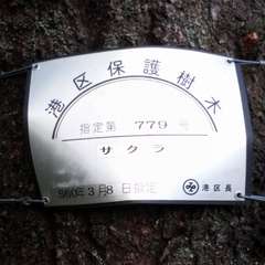 投稿日:2015年10月4日 写真