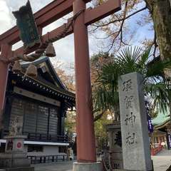 投稿日:2019年12月1日 写真