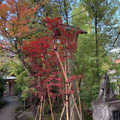 投稿日:2019年12月1日 写真