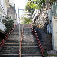 投稿日:2021年11月15日 写真