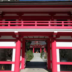 投稿日:2021年10月24日 写真