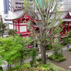投稿日:2019年4月24日 写真