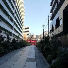 投稿日:2019年2月4日 写真