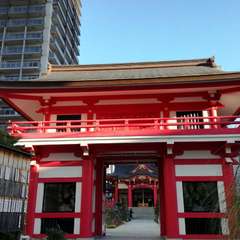 投稿日:2019年2月4日 写真